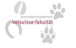 Departement für klinische Veterinärmedizin (DKV) logo
