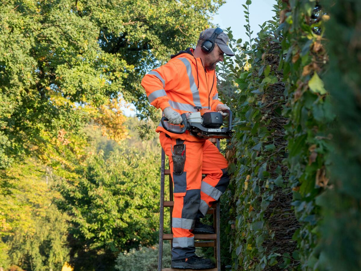 Freie Lehrstelle Als Gartner In Efz Garten Und Landschaftsbau