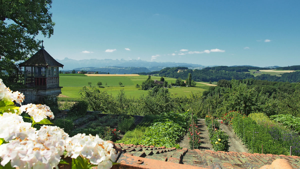 Schloss Utzigen und Umgebung