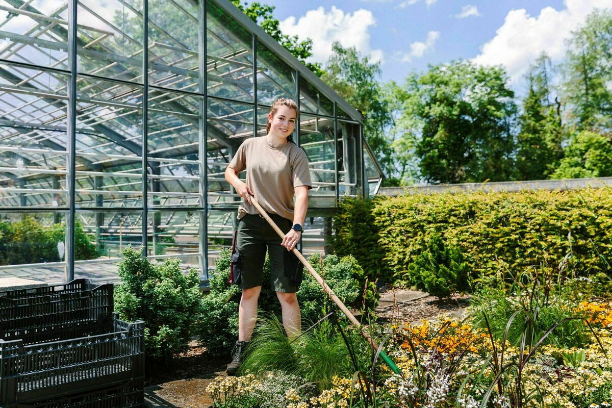 Gärtnerin/Gärtner - Zierpflanzen