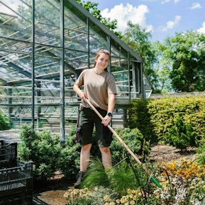 Gärtnerin/Gärtner - Zierpflanzen Gärtnerin/Gärtner - Zierpflanzen