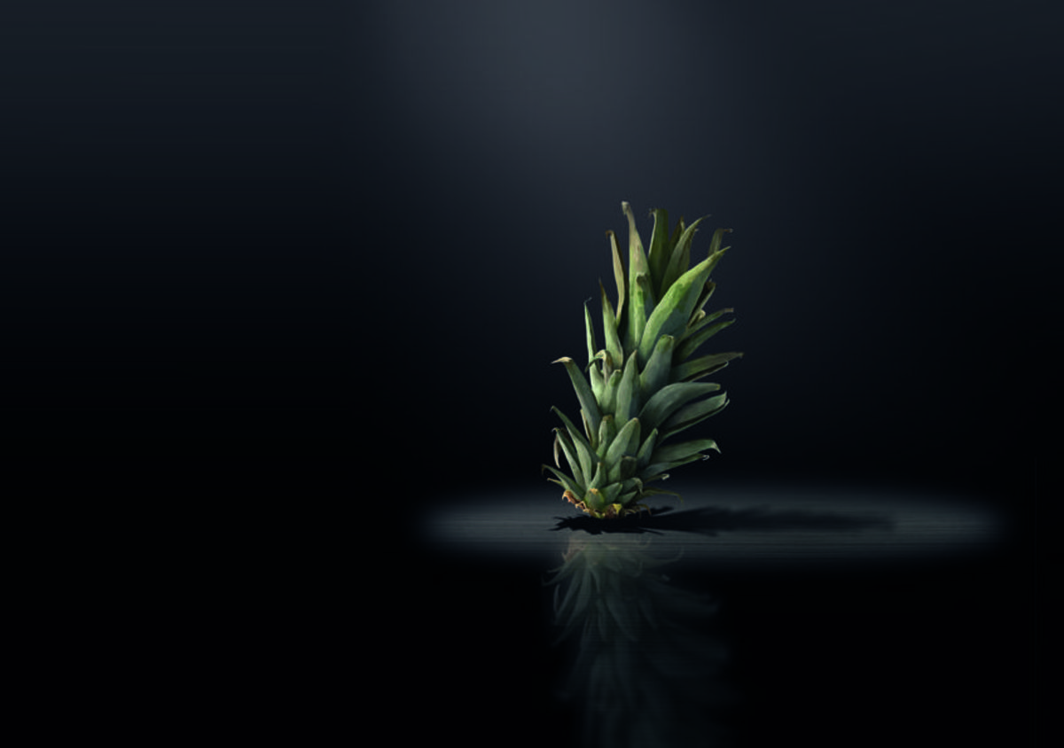 Photoshop: It's not the pineapple song ...