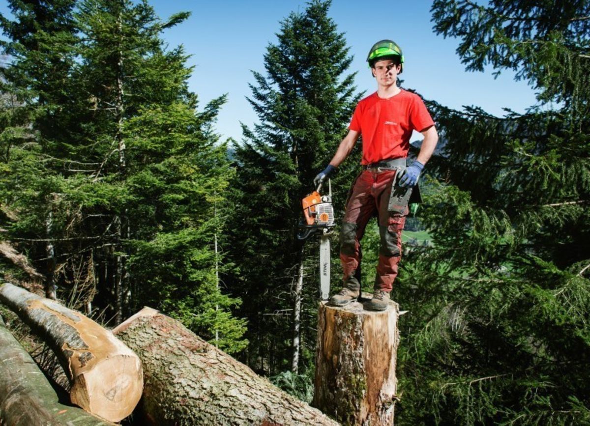 Starte deine Karriere im Wald!