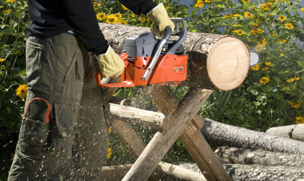 Fachkräfte für praktische Arbeiten im Wald